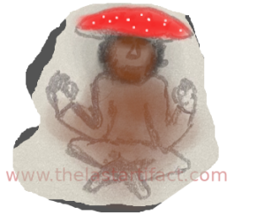 Northern Shaman Tripping on Amanita Muscaria